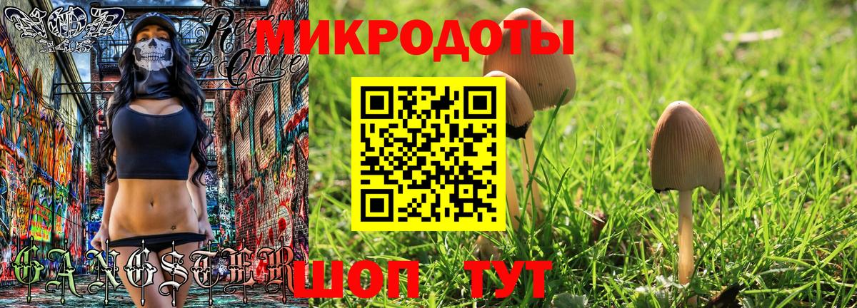 Серов  Галлюциногенные грибы Cubensis  Вход с VPN 